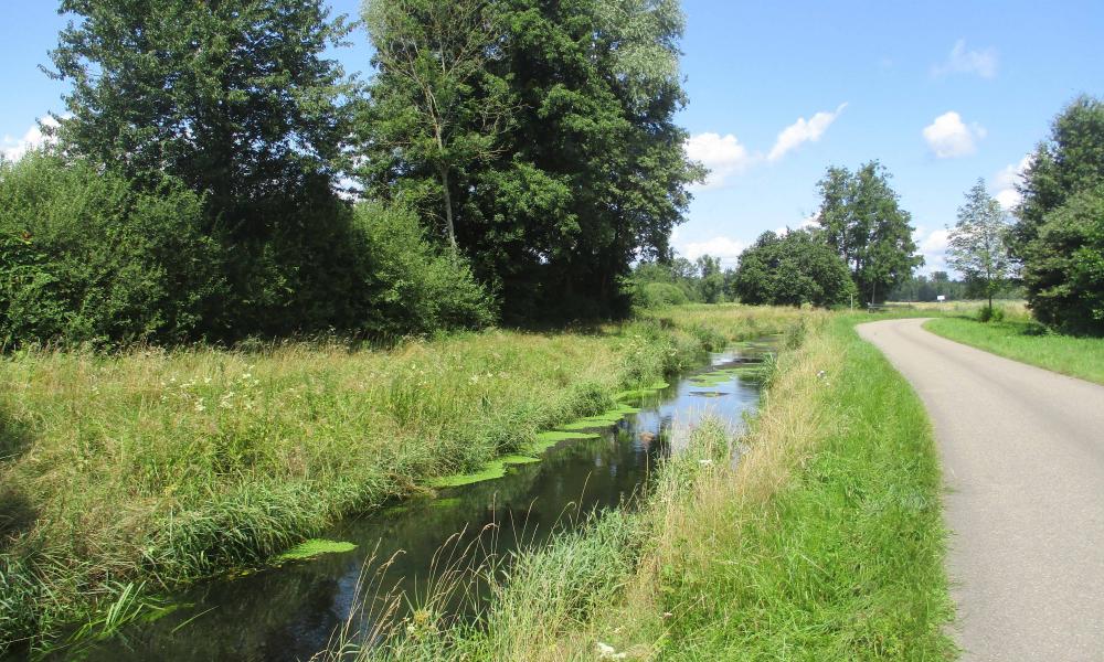 Bachlauf bei Urloffen