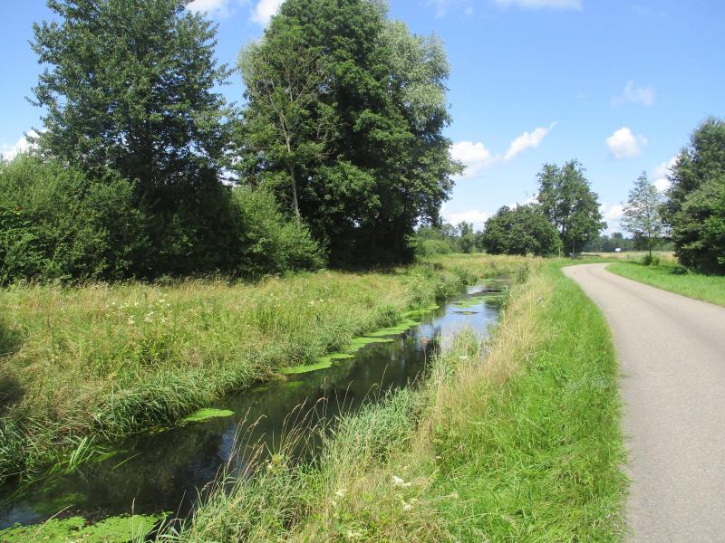 Bachlauf bei Urloffen